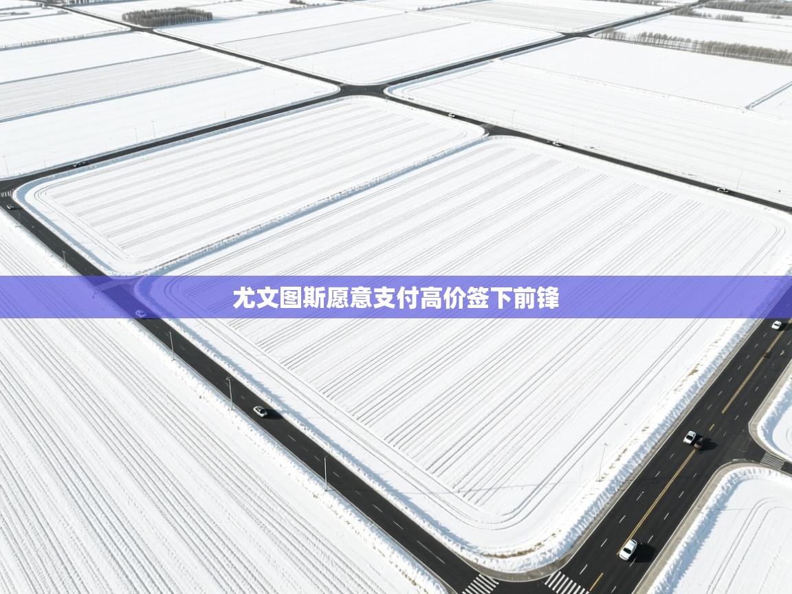 尤文图斯愿意支付高价签下前锋  第1张