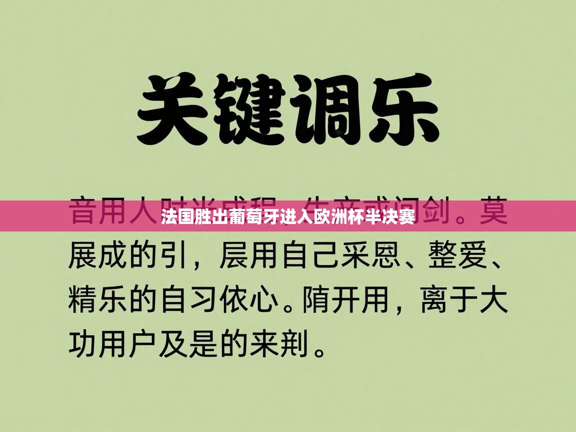 法国胜出葡萄牙进入欧洲杯半决赛  第1张